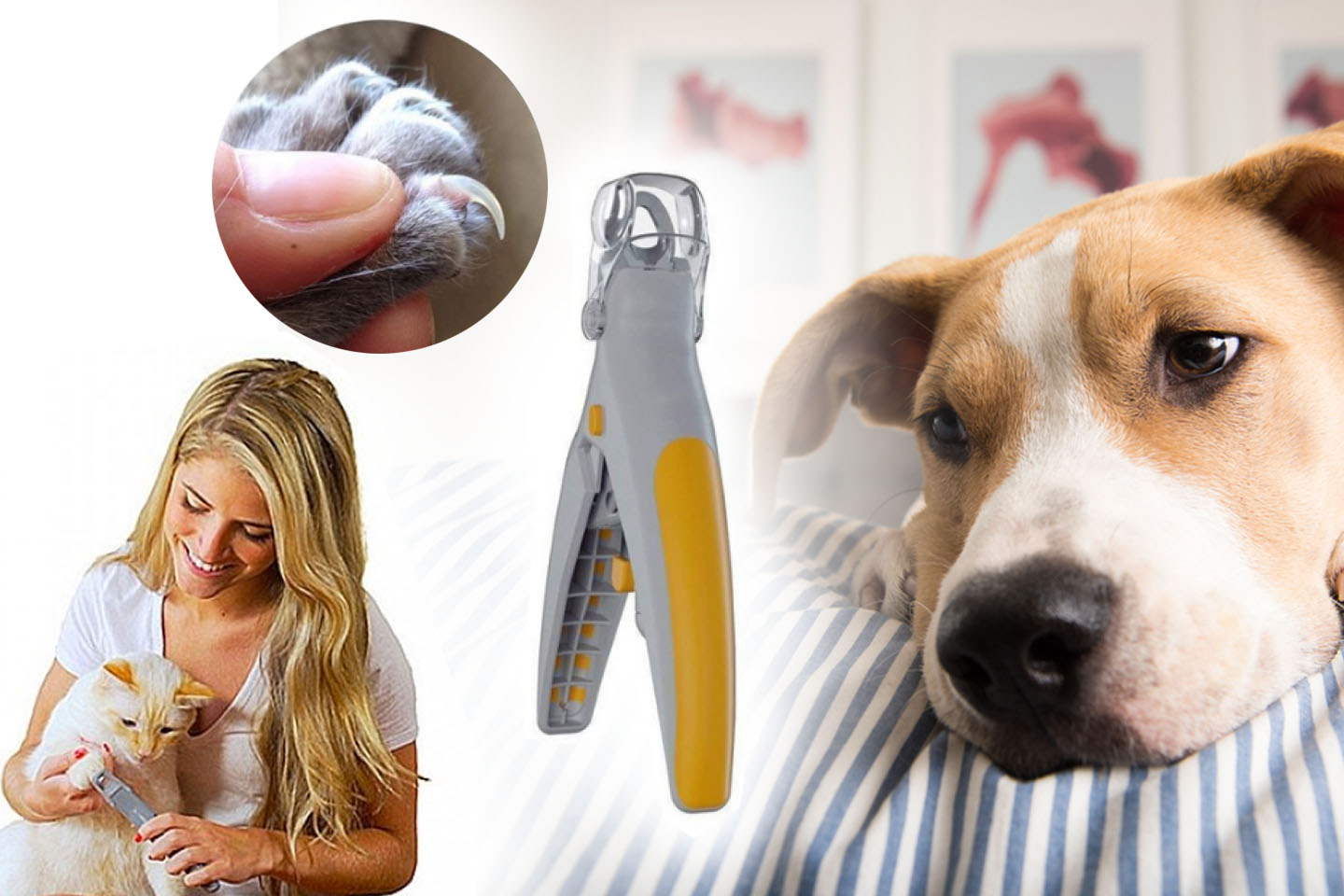 00eb9cd6-164a-4299-a504-327dff4eb2e7?sca