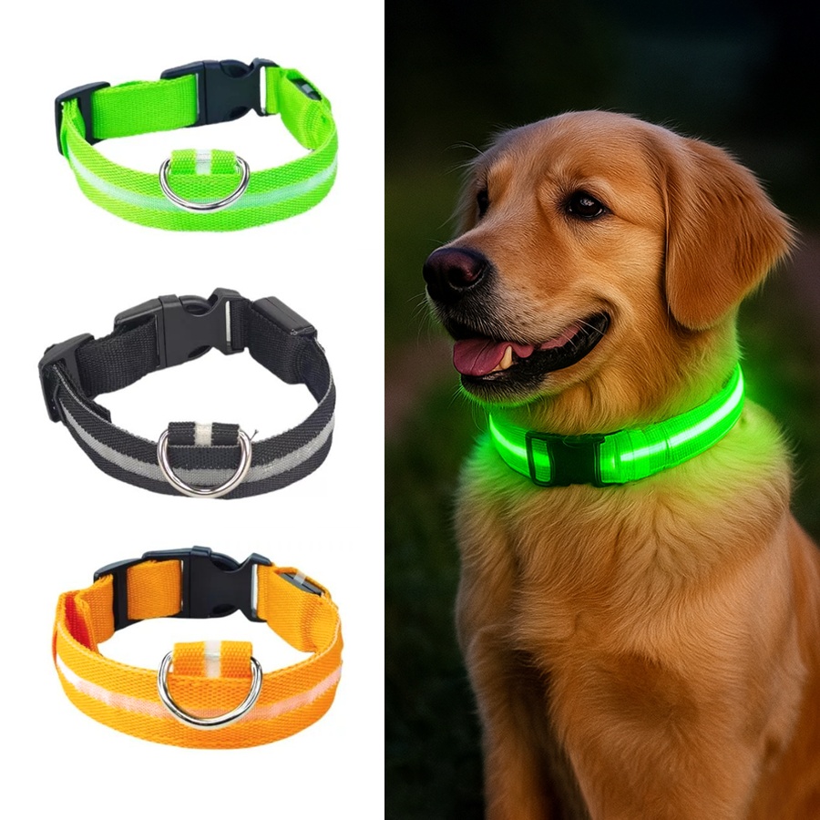 Uppladdningsbart LED-hundhalsband / Reflex & Halsband för hund