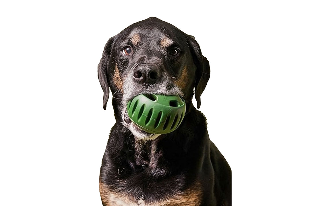 Aktiveringsleke med saktematende godteriball for hund