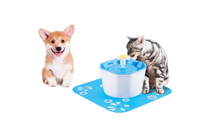 Vattenfontän för hund och katt