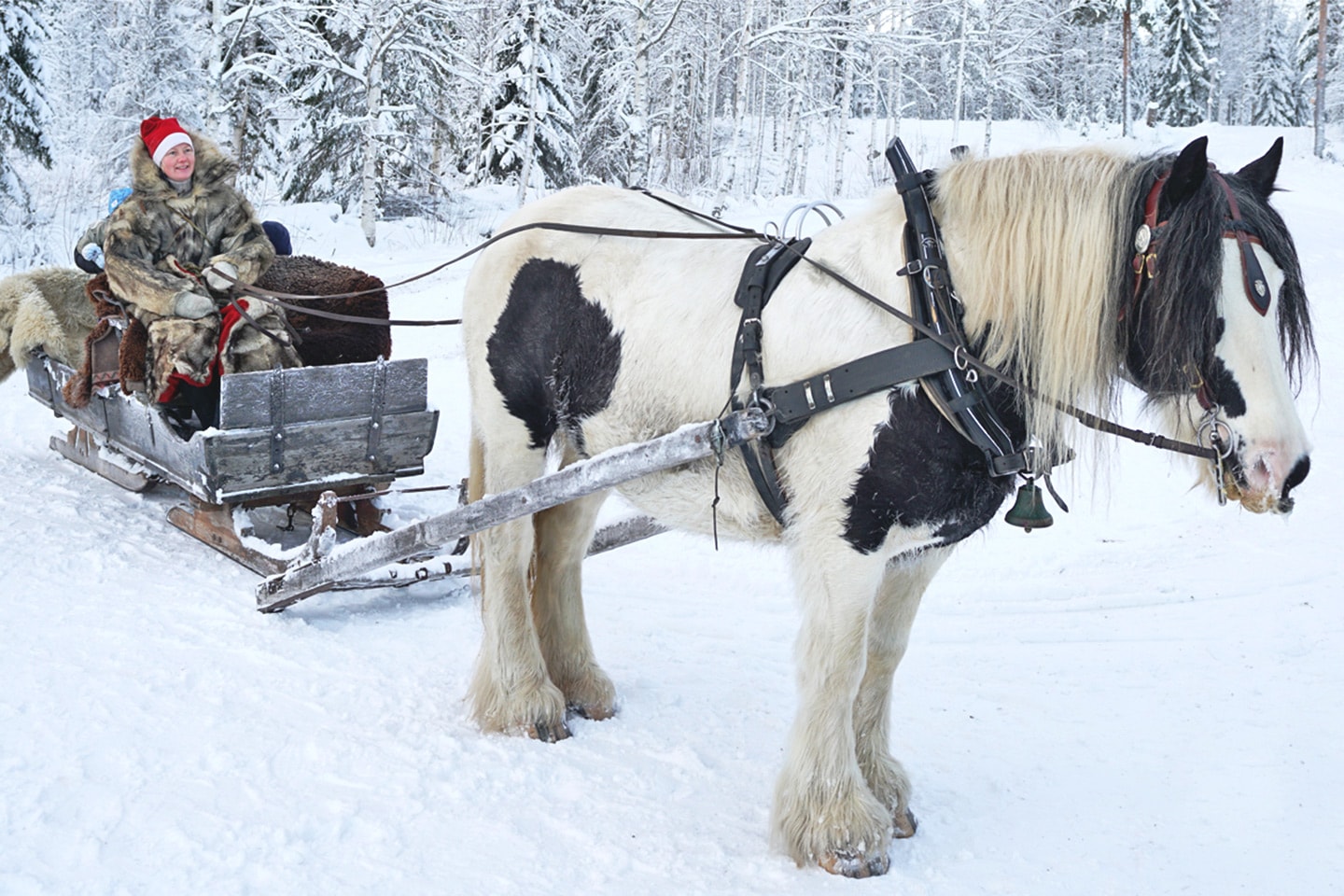 Fira jul, nyår och trettonhelgen på Hassela Ski Resort (5 av 11)