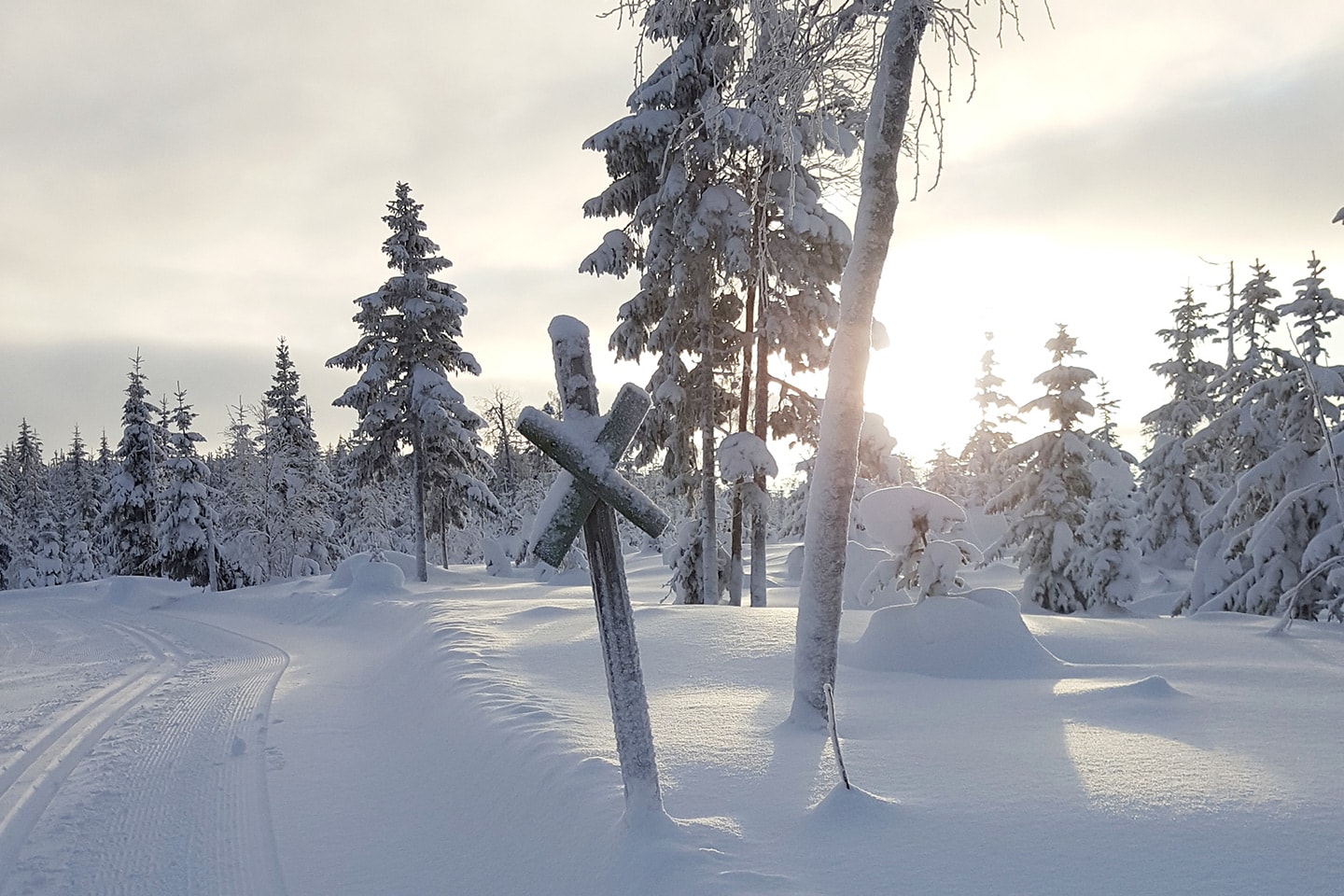 Fira jul, nyår och trettonhelgen på Hassela Ski Resort (6 av 11)