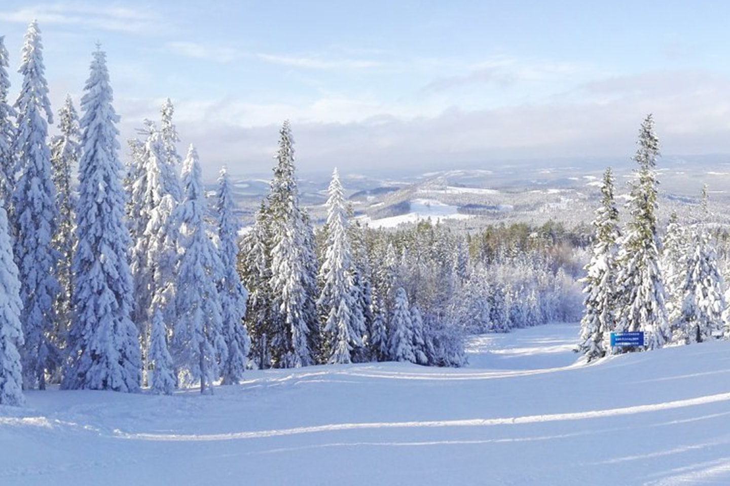 Kortvecka på Hassela Ski Resort, gäller vecka 5-7 (9 av 15)