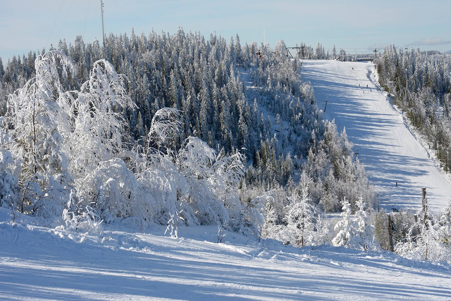 Kortvecka på Hassela Ski Resort, gäller vecka 5-7 (7 av 15)