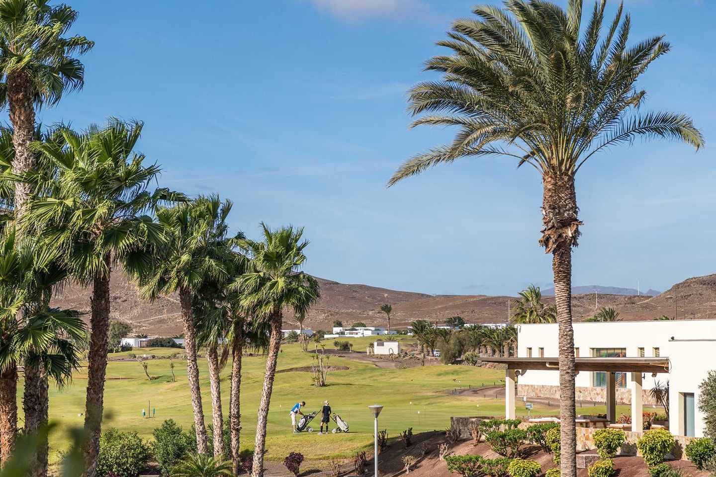 Resa till Playitas Resort på Kanarieöarna med Apollo (35 av 42)