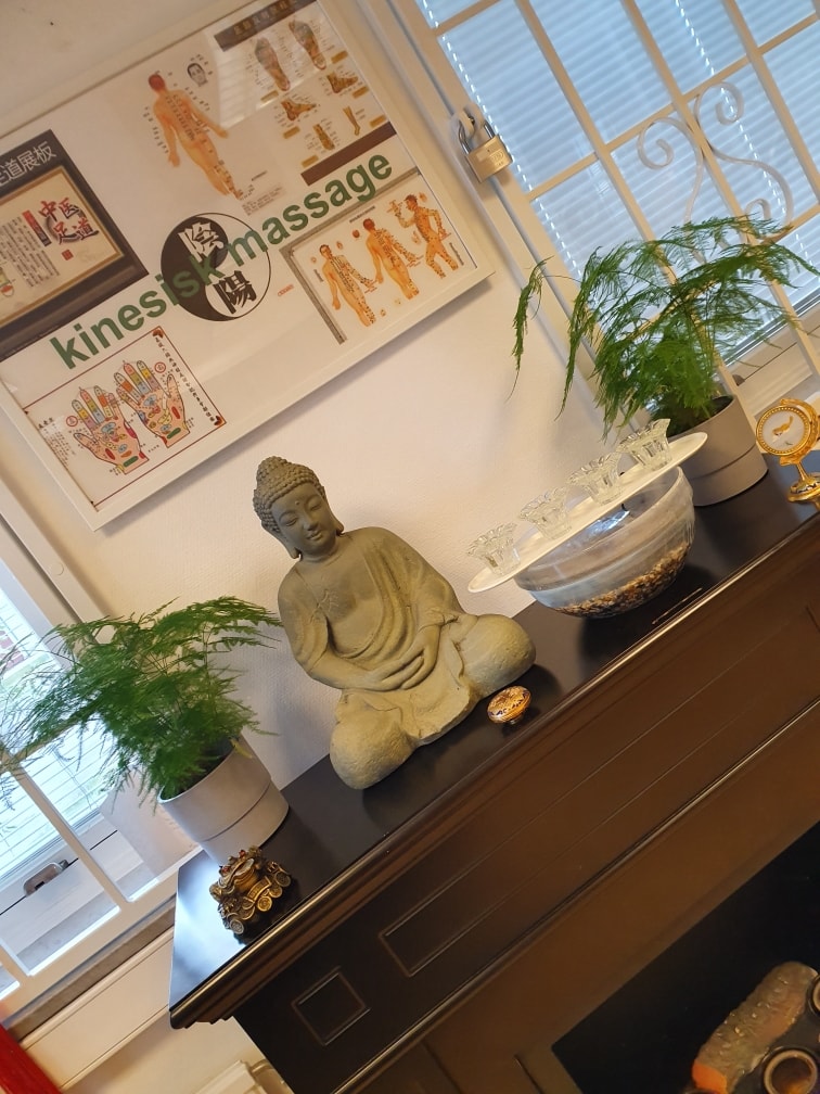 Avslappnande Tui Na massage, 50 min hos Li Ya Friskvård (6 av 11)