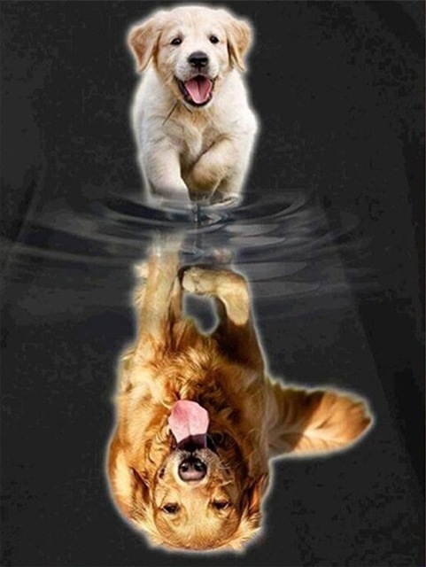 Product Image for Diamond Painting / Diamantmålning - 30x40cm - Hund