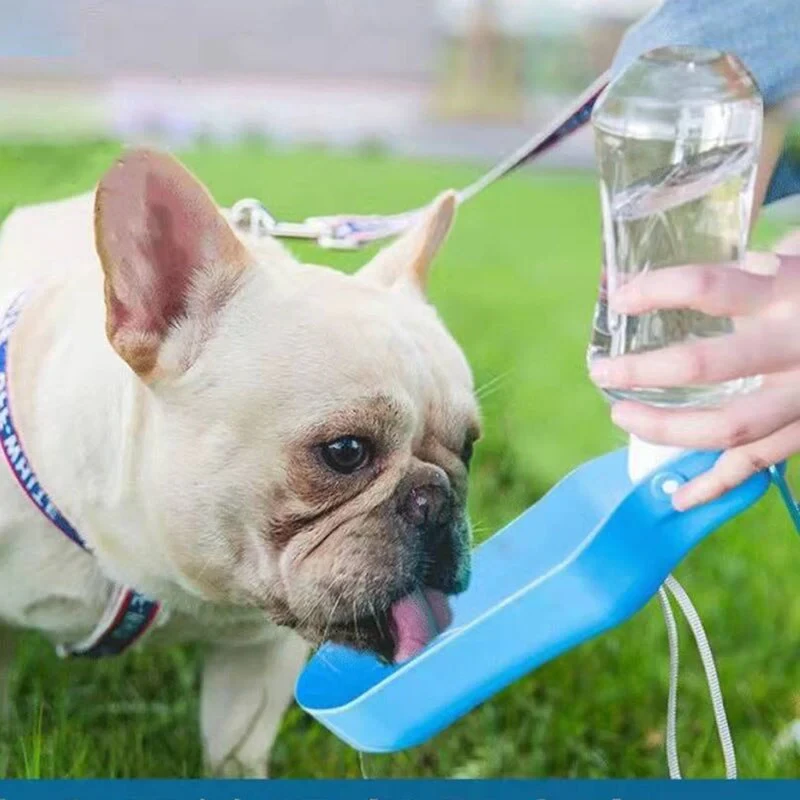 500 ML bærbar- og sammenleggbar vannflaske for hund (9 av 14)