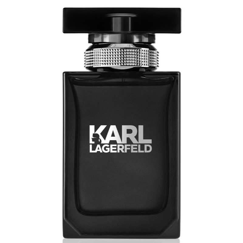 Karl Lagerfeld Pour Homme Edt 100ml (1 av 2)