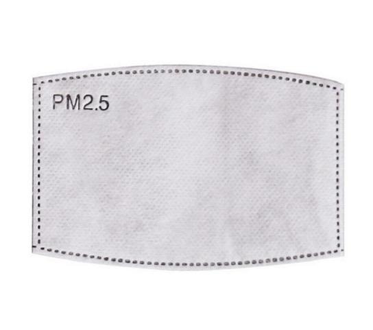 PM2.5-maskfilterinsats - 10 Pack (10 av 11)