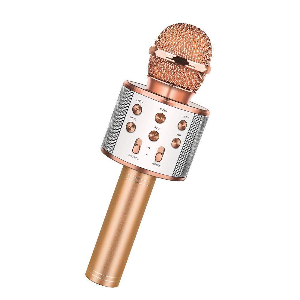 Product Image for Karaoke mikrofon med högtalare