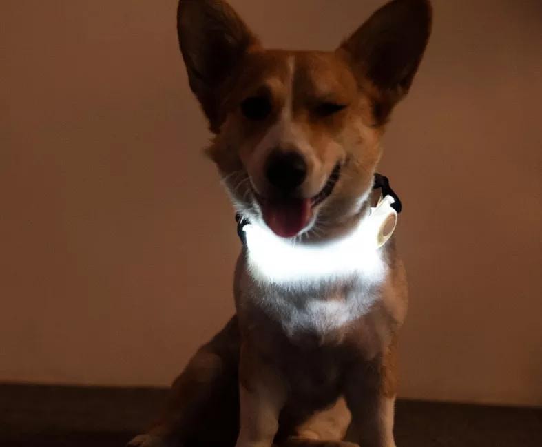 Stropp med LED lys nattlys for hundebånd vinter multifunksjon (4 av 7)