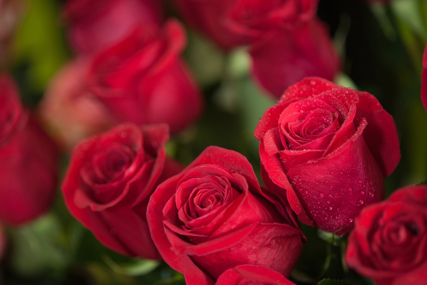 Överraska någon du tycker om med 30 röda rosor (1 av 2)