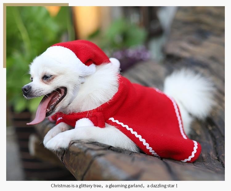 Product Image for Tomteklädsel till liten hund mantel och luva röd vit jul