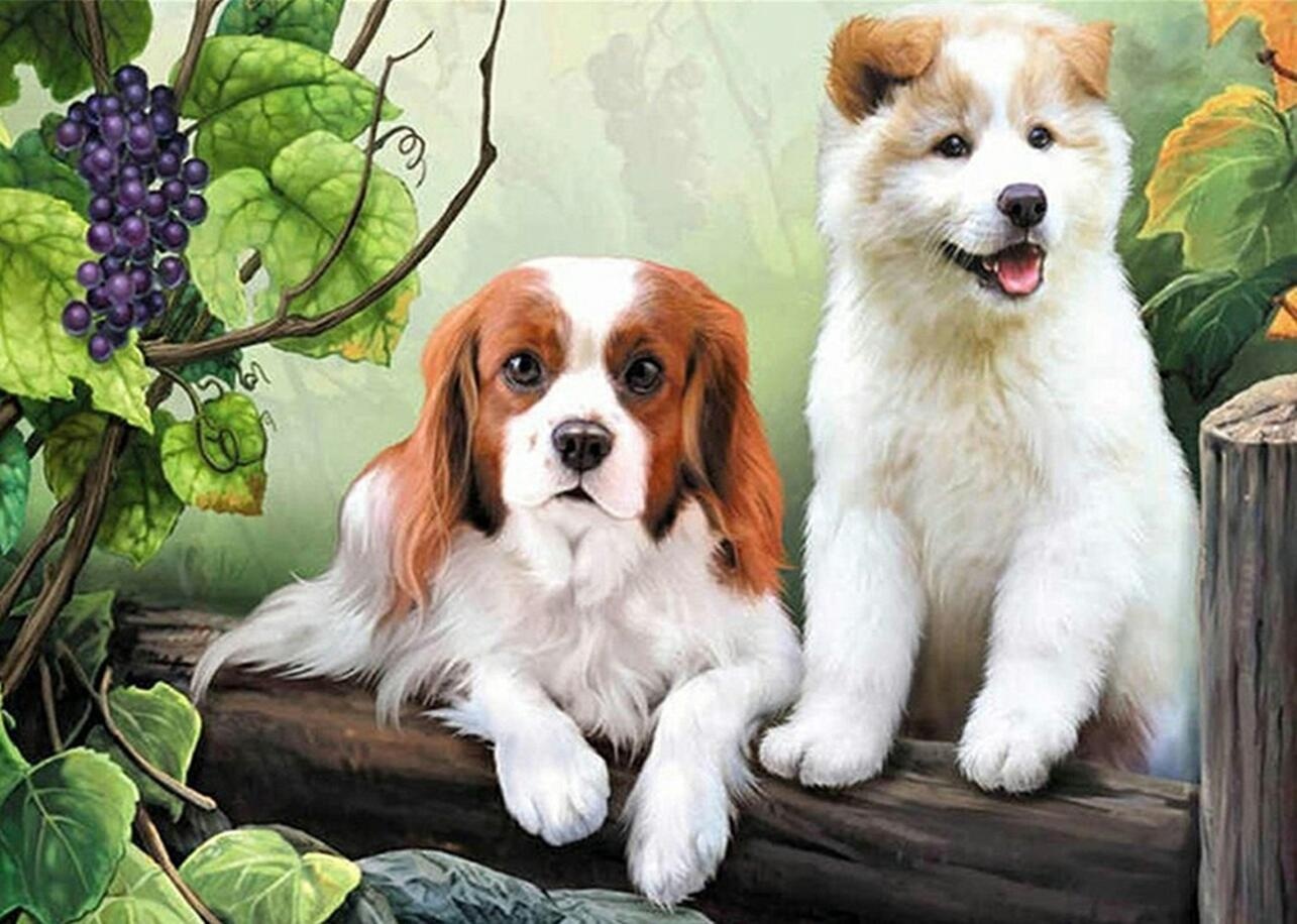 Diamantmaleri - 30x40cm - Hunder