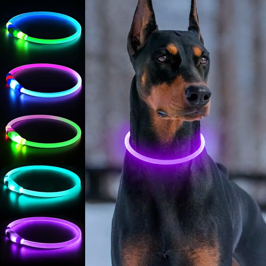Uppladdningsbart halsband till katt och hund LED (1 av 12)