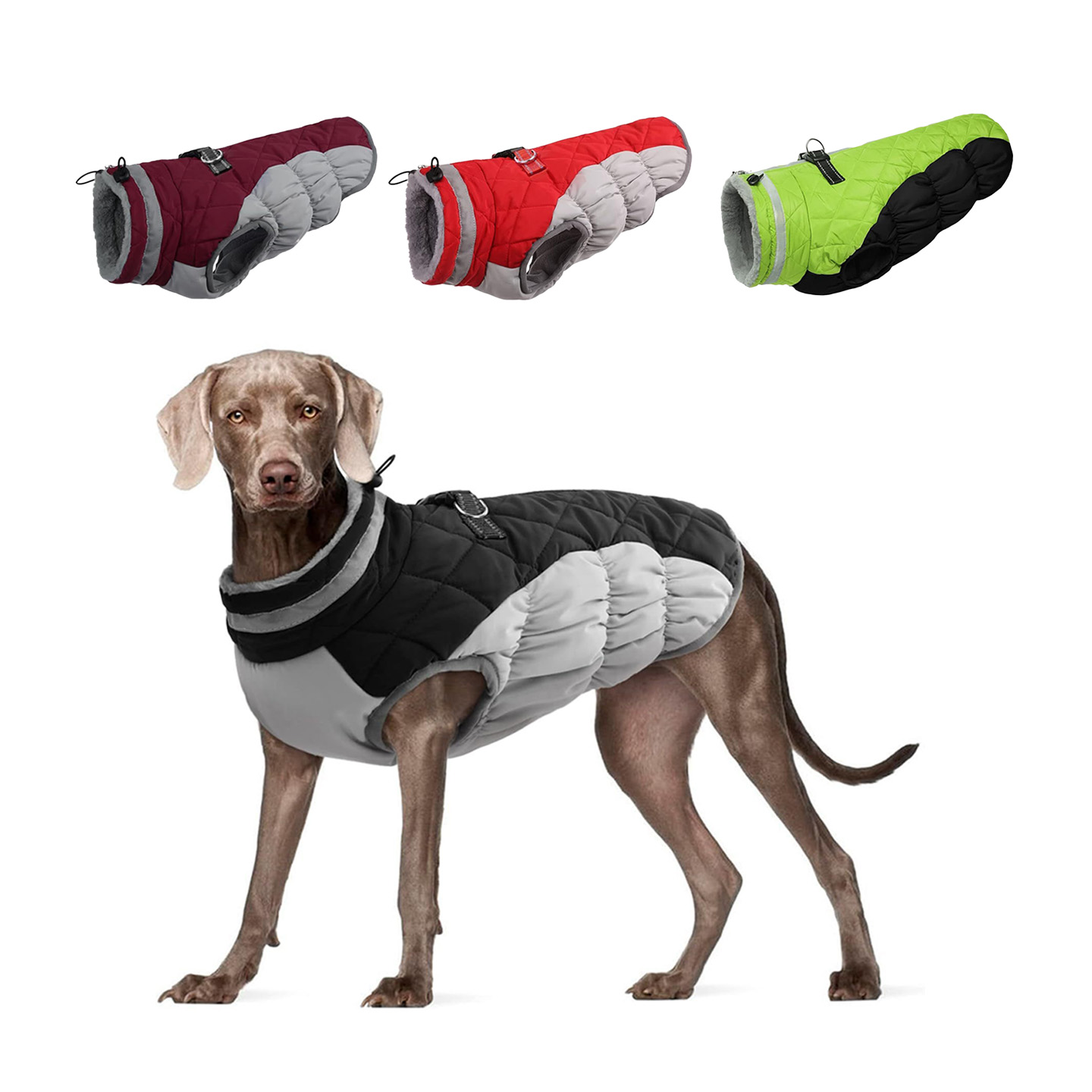 Fodrad hundjacka för kalla promenader