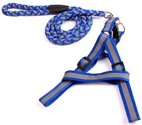 Product Image for Flätat starkt nylonkoppel med reflex, tre olika storlekar, svart
