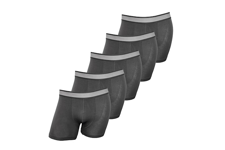 Basic Boxershorts 5-Pack - Grey