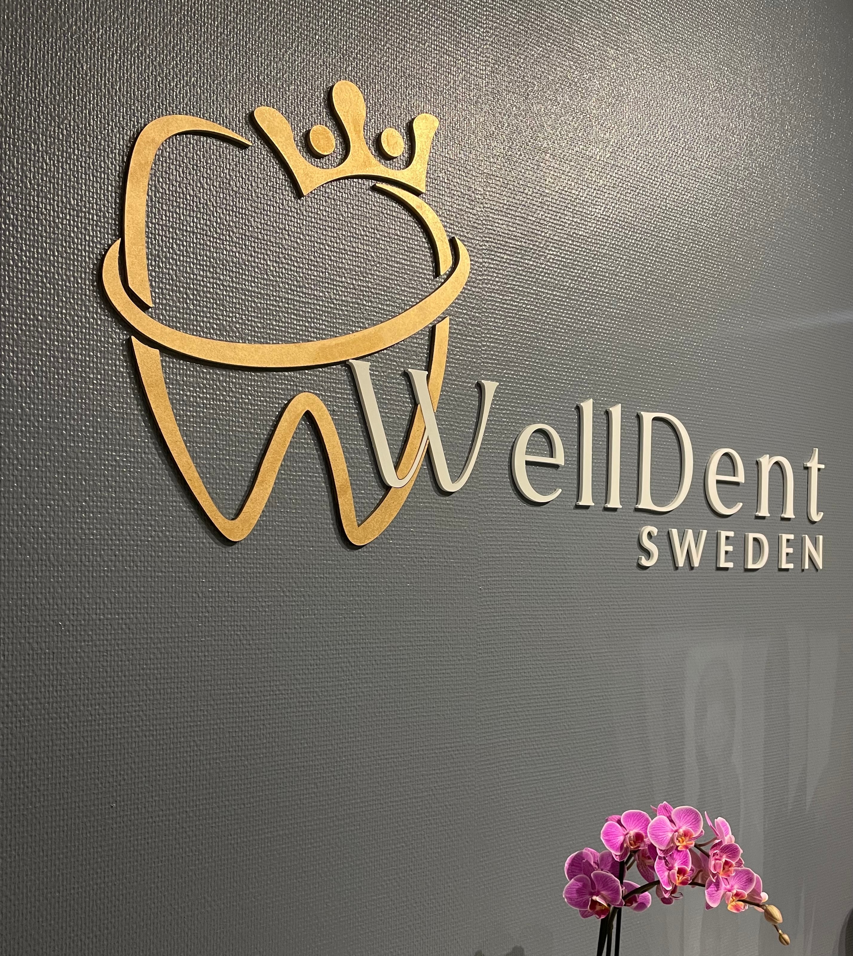 Tandläkarundersökning av legitimerade tandläkare hos WellDent Sweden (3 av 4)