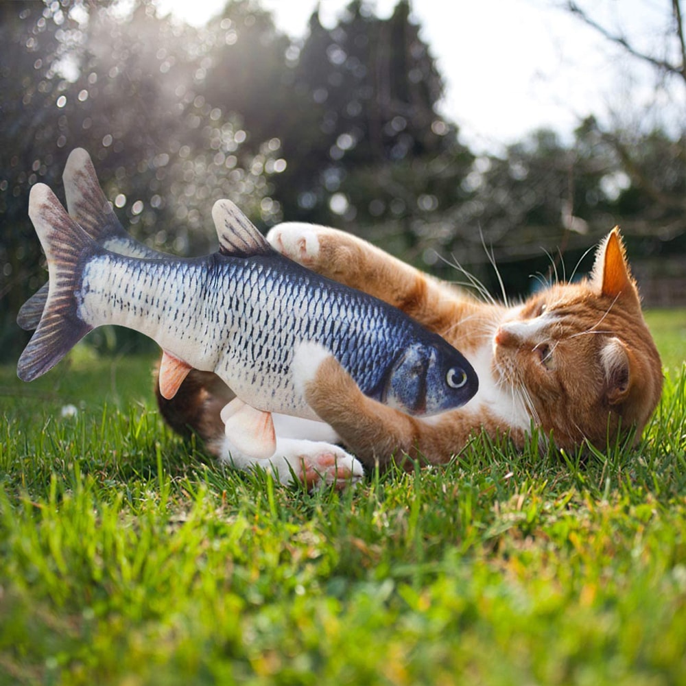 Sprattlande fiskleksak inkl. kattmynta (11 av 12)