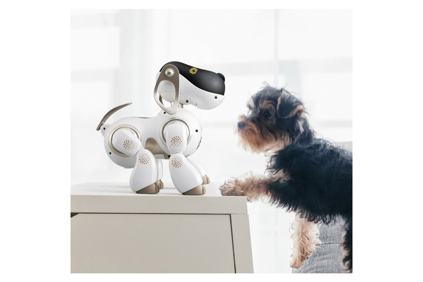 Robothund med fjernkontroll (17 av 19) (18 av 19)