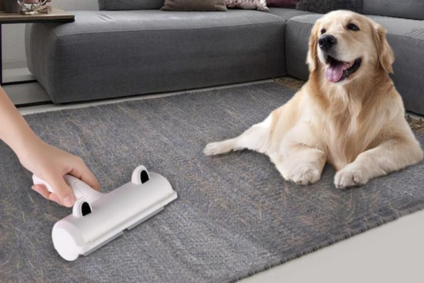 чистка дивана от шерсти животных