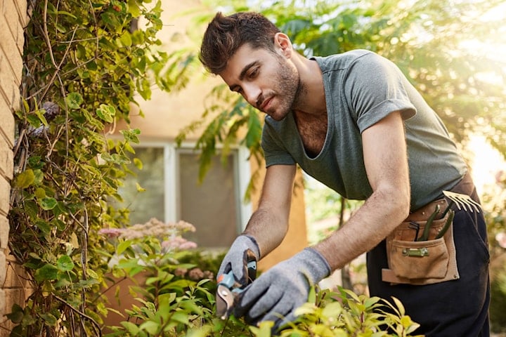 Seniortjänsten: Välj mellan 1, 2 eller 3 timmar av trädgårdsarbete för Seniorer