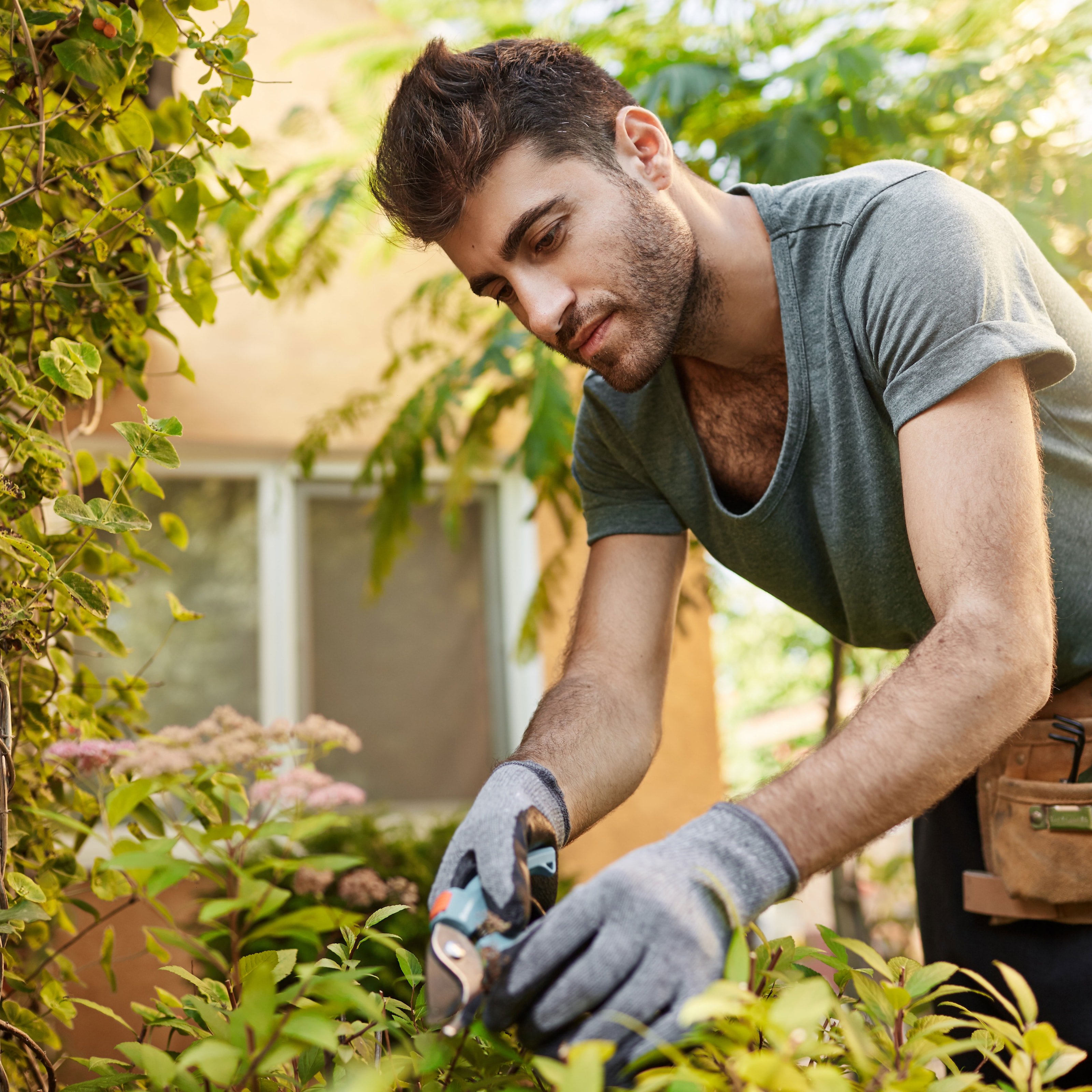 Seniortjänsten: Välj mellan 1, 2 eller 3 timmar av trädgårdsarbete för Seniorer (1 av 5)