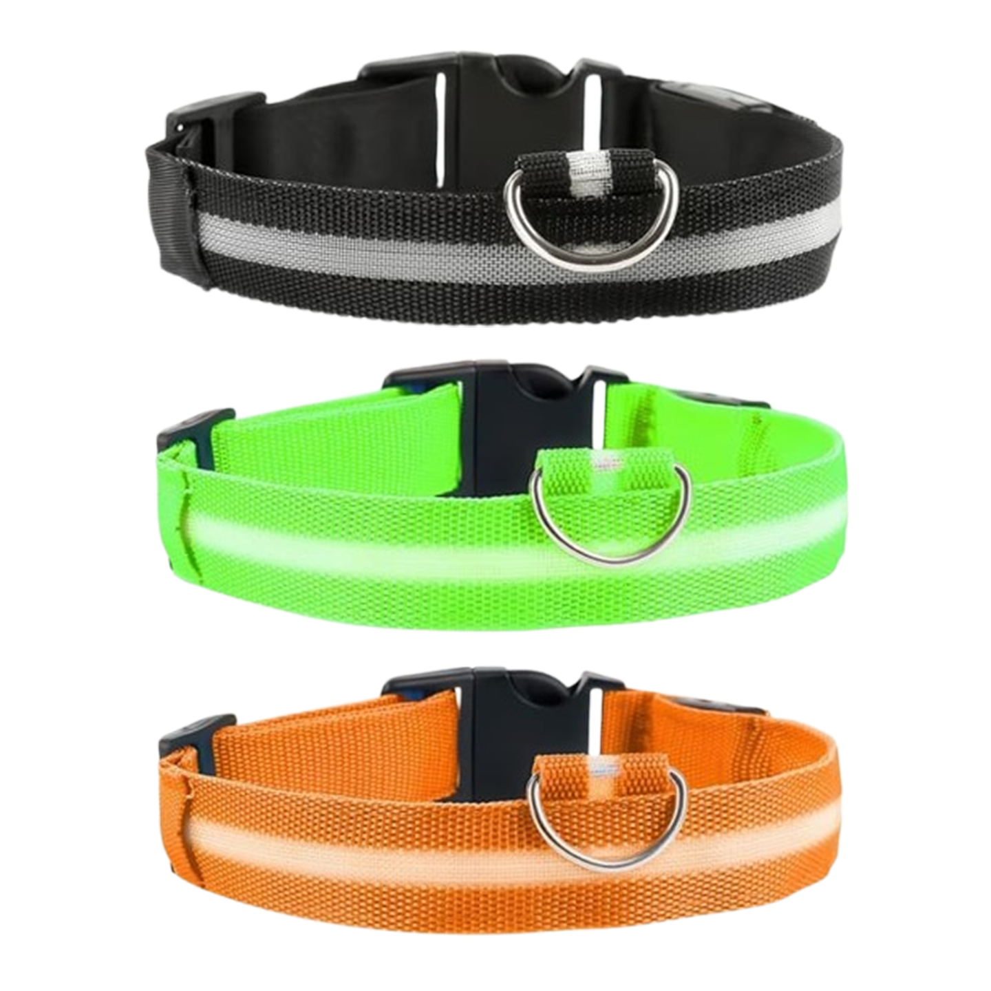 Hundhalsband LED laddningsbart 2-pack