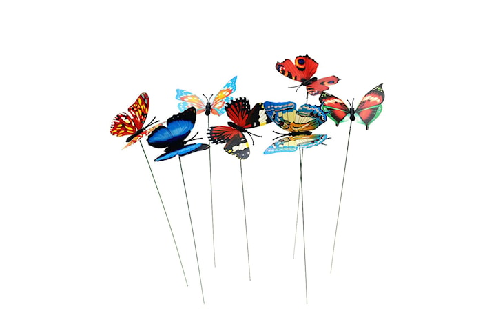 Dekoration fjärilar 25- eller 50-pack