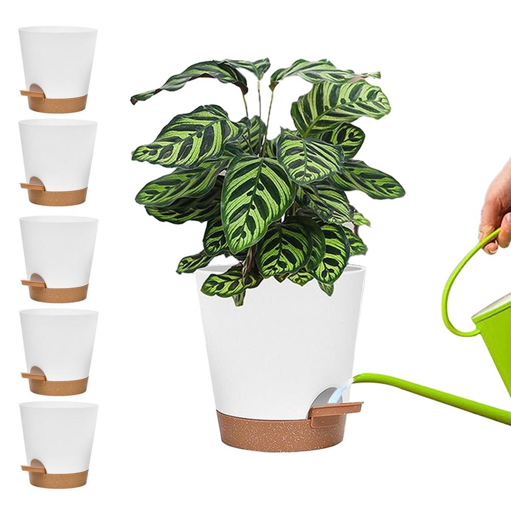 Selvvannende krukke for inneplanter