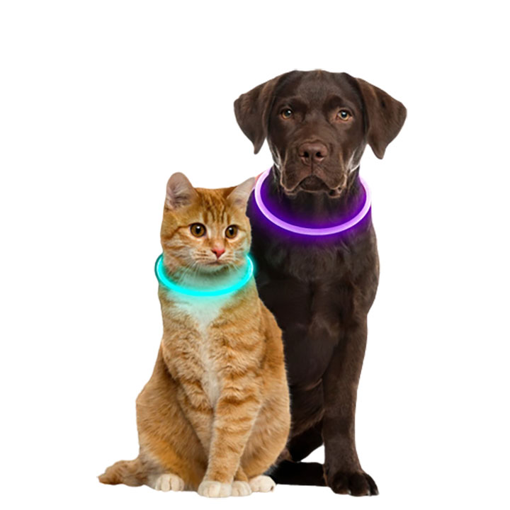 Product Image for Uppladdningsbart halsband till katt och hund LED