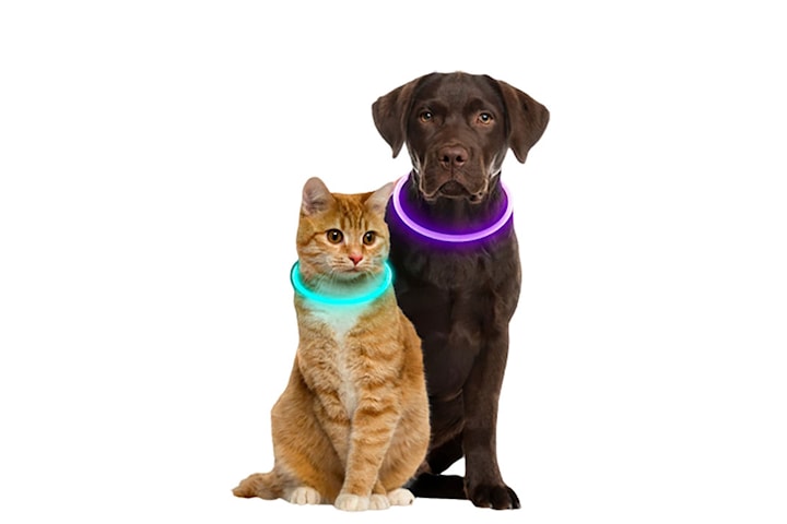 Uppladdningsbart halsband till katt och hund LED