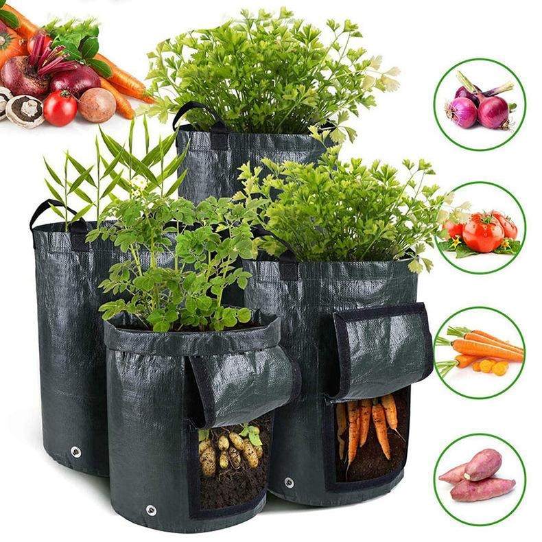 Dyrkingspose for jordplanter (2 av 6)