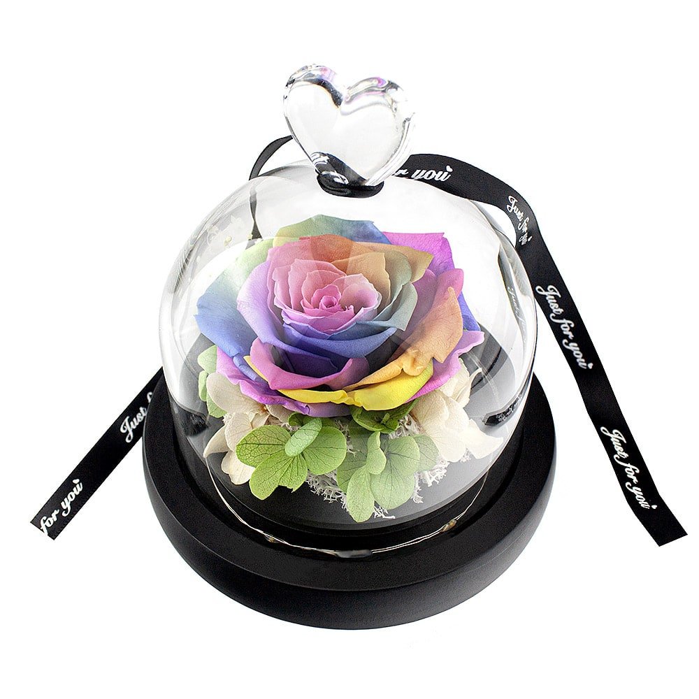 Product Image for Liten Ros i Glaskupa - Regnbågsfärgad