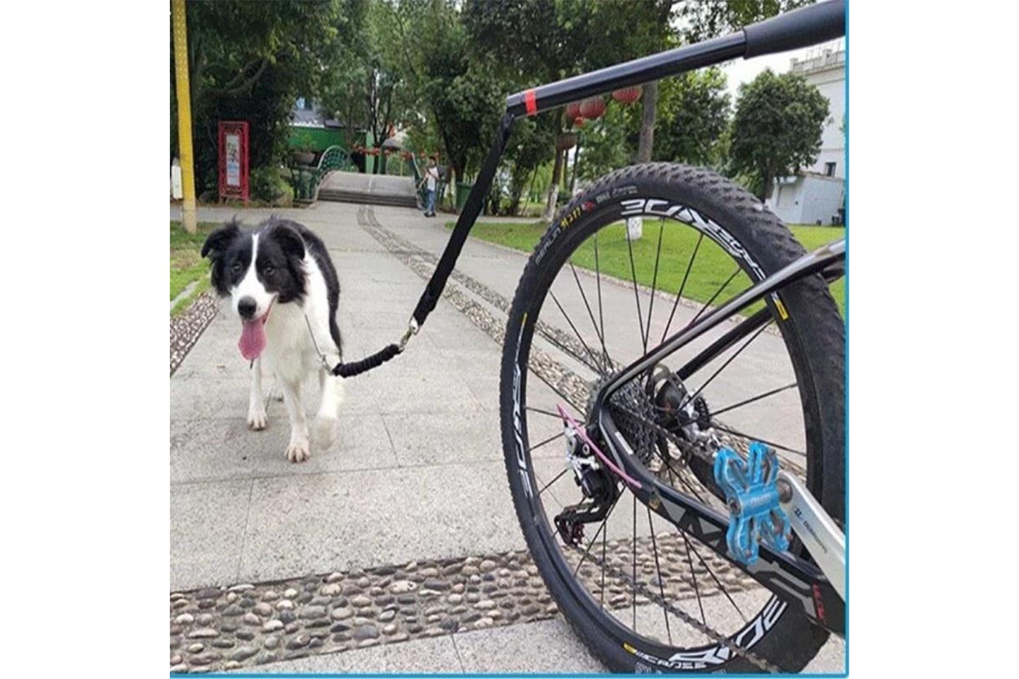 Elastisk cykelkoppel för hund (1 av 11)