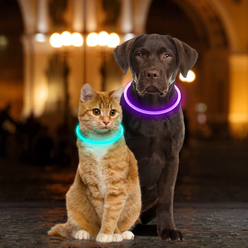 Uppladdningsbart halsband till katt och hund LED (5 av 12)