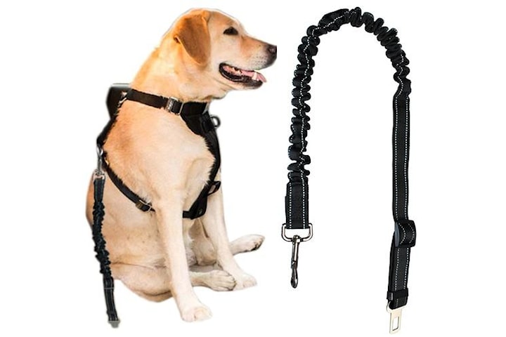 Sikkerhetsbelte for hund i bilen