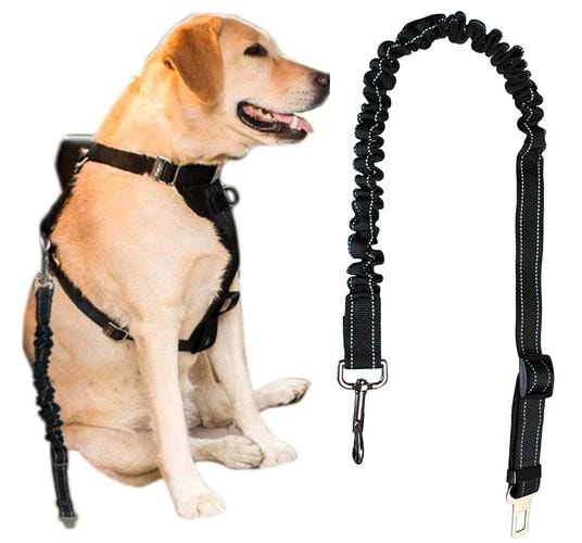 Sikkerhetsbelte for hund i bilen (1 av 7)