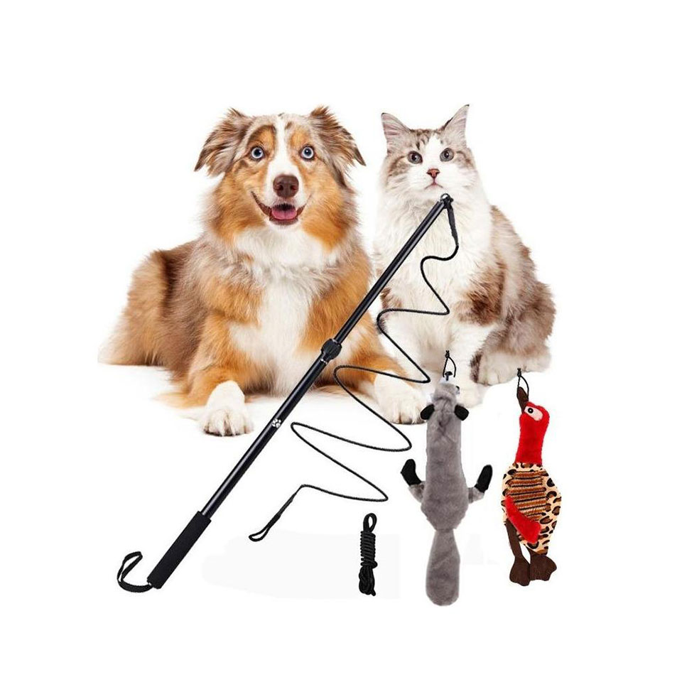 Hundleksak teleskopisk lekpinne