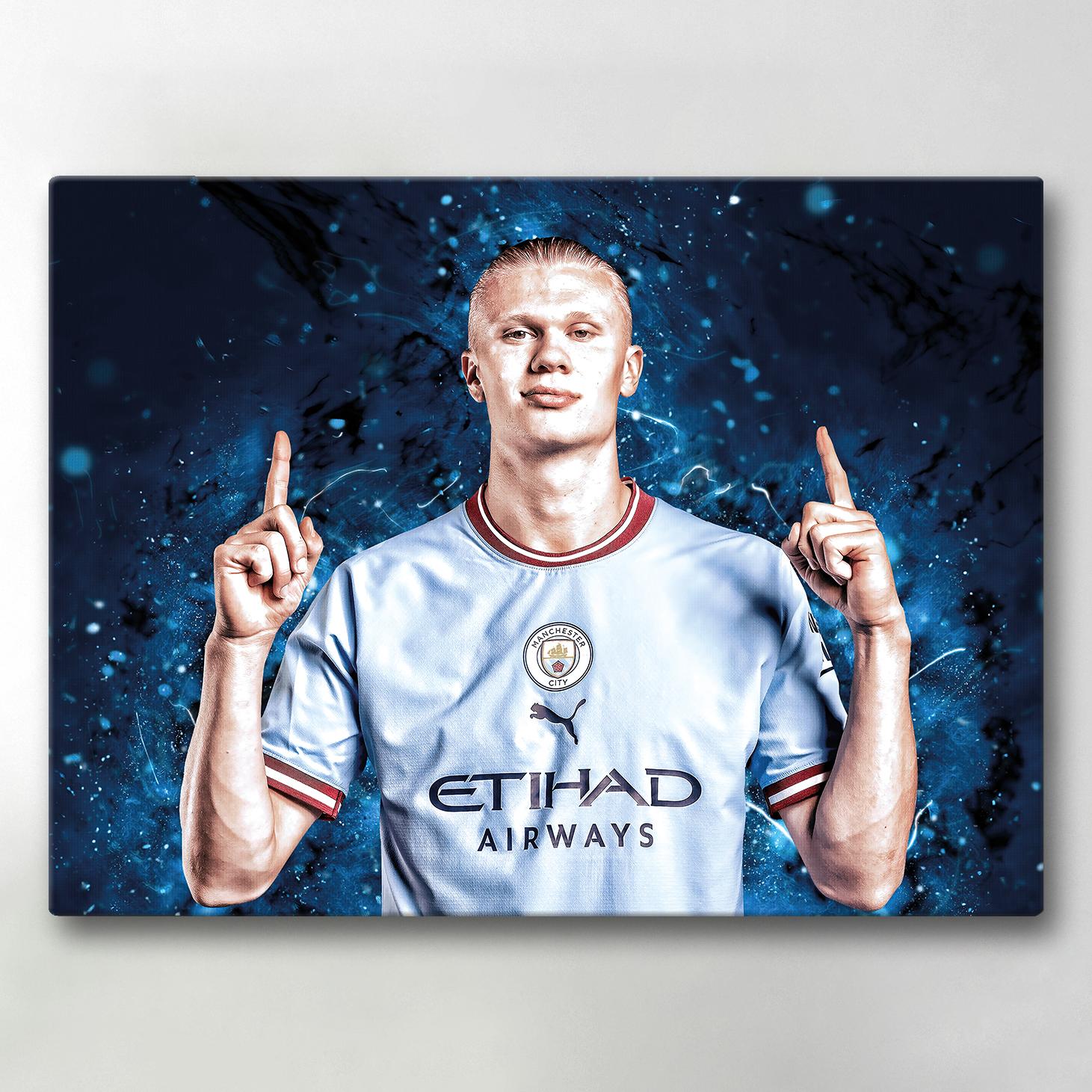 Canvastavle Haaland 40x30 cm