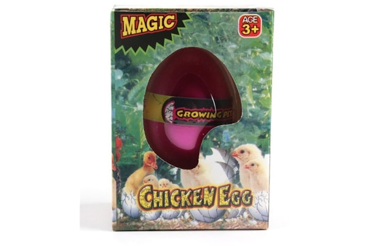 Magiskt ägg, Kyckling