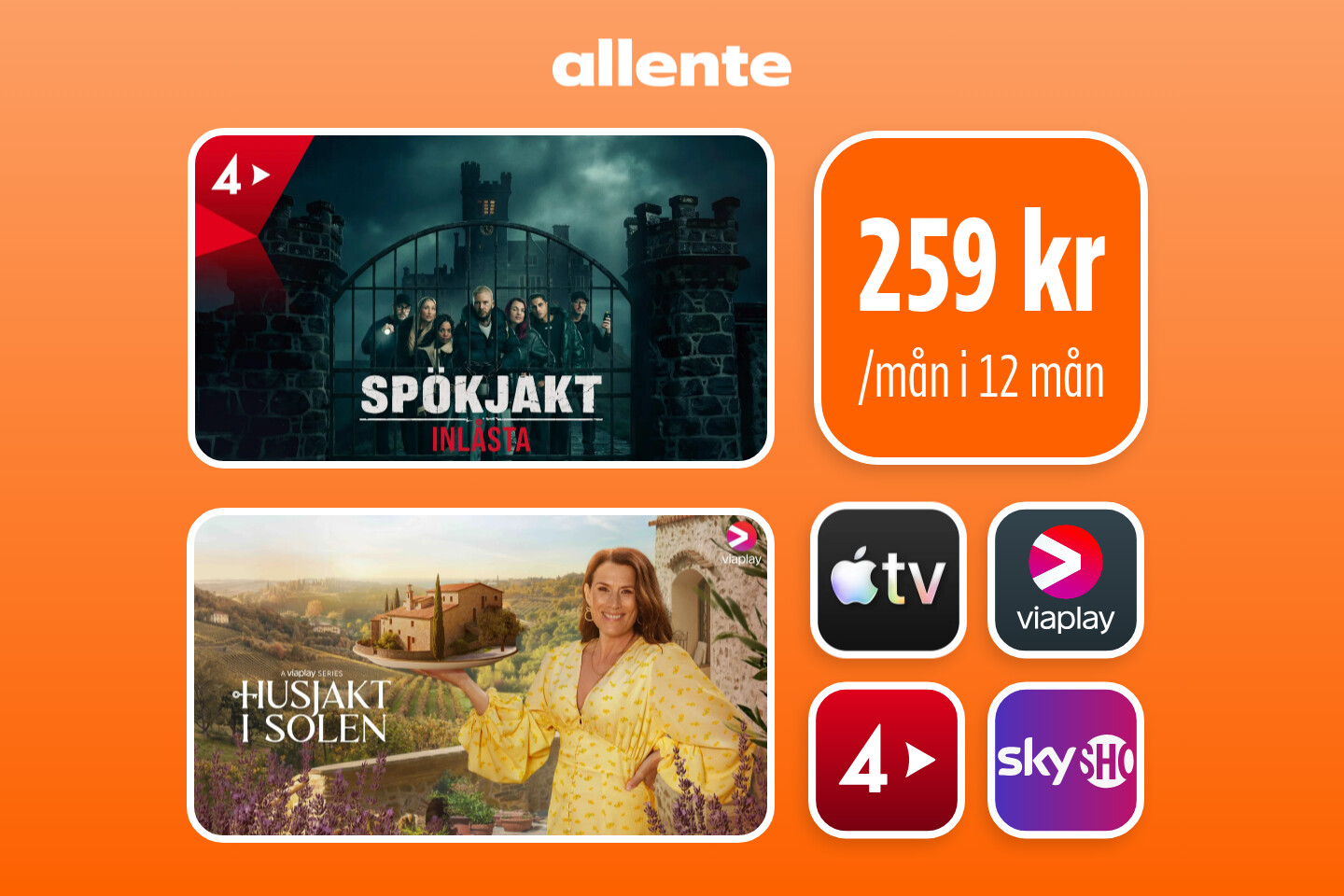 Allente standard el. premium i 12/mån för halva priset