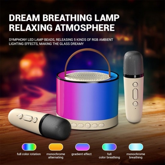 Product Image for Bärbar Bluetooth Karaoke-högtalare med 2 trådlös mikrofon