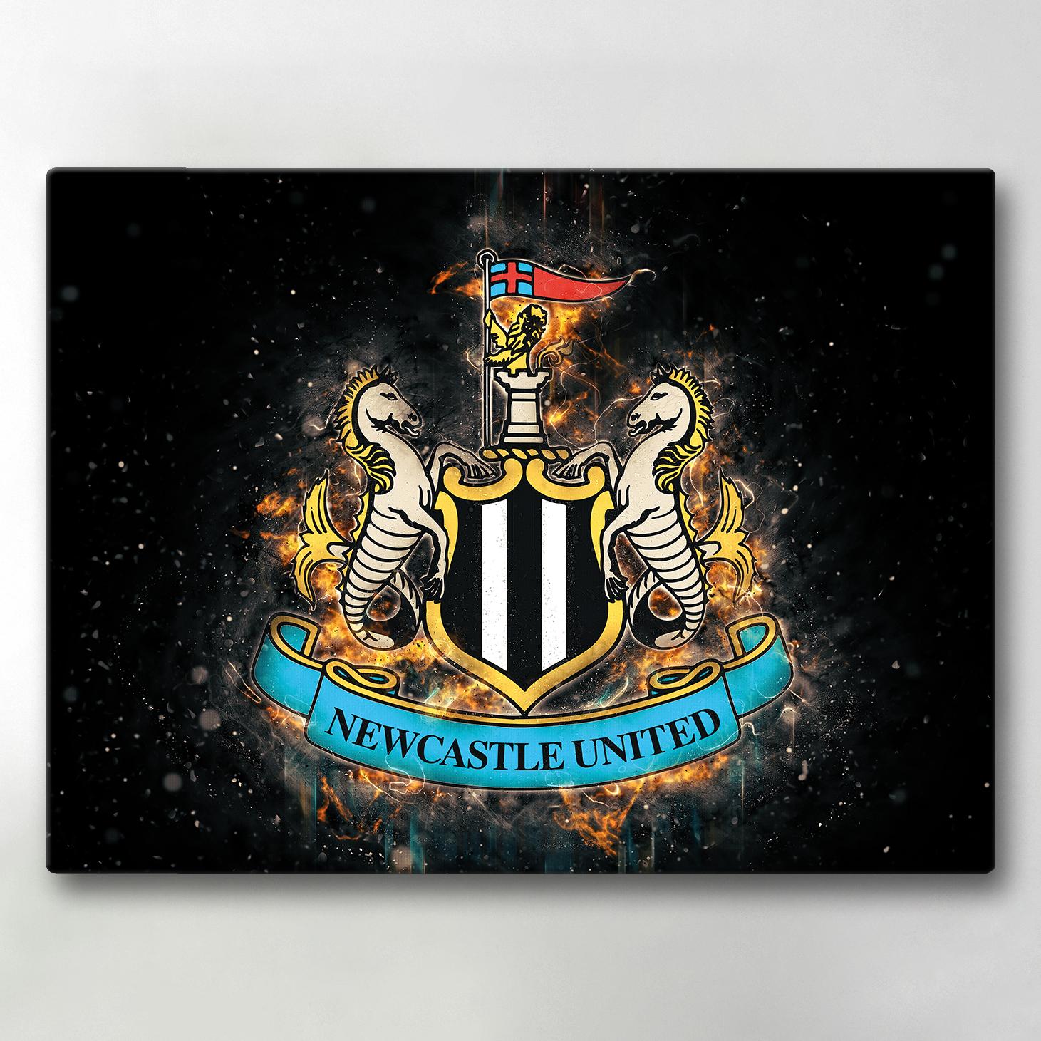 Canvastavle Newcastle United 40x30 cm