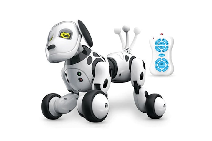 Robothund med fjärrkontroll