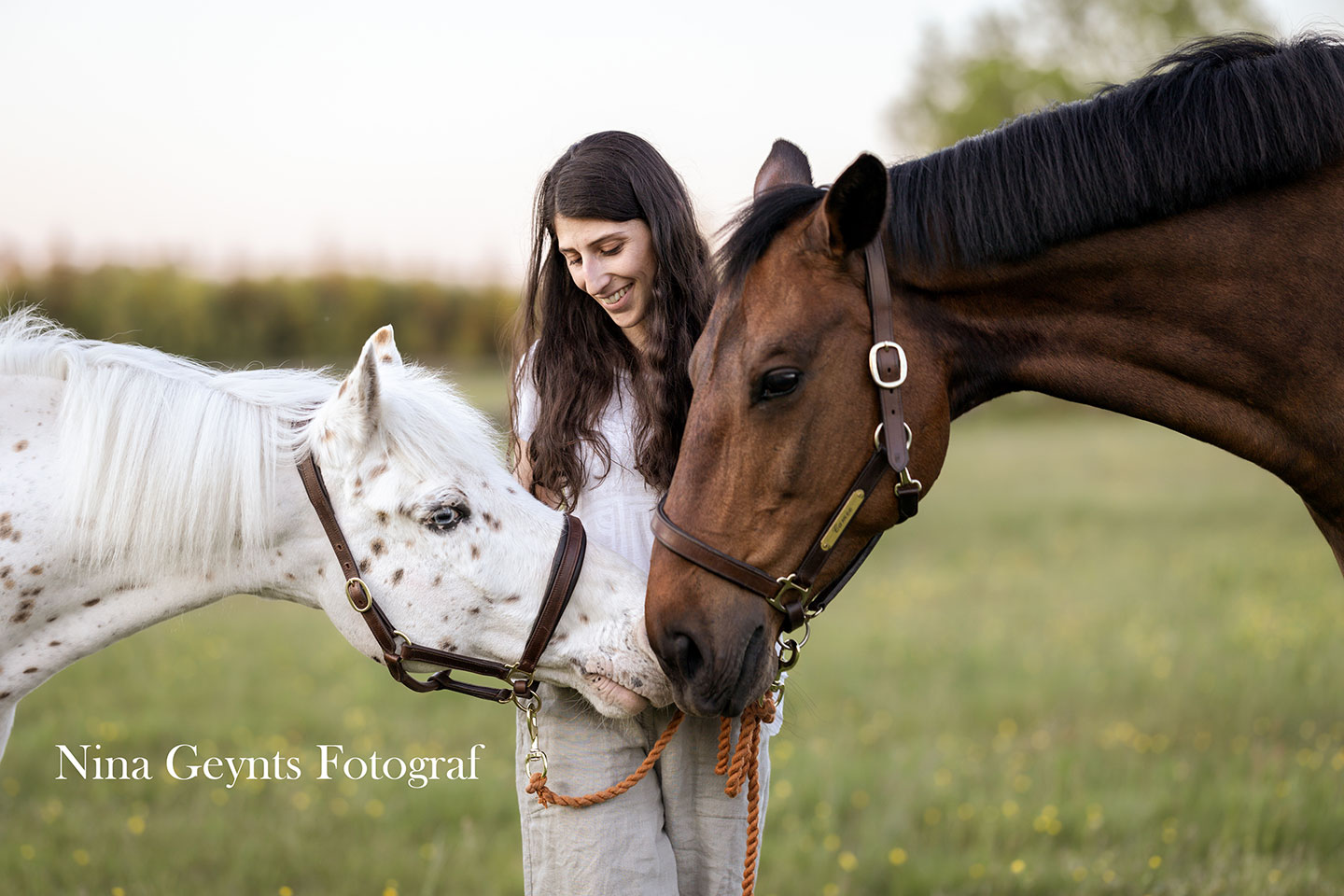 Hund- eller hästfotografering med Nina Geynts